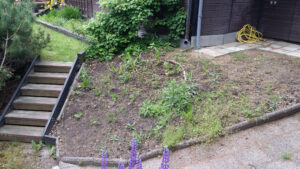 207_01_plantering_slänt_före_2017