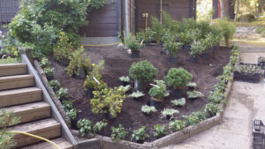 207_03_plantering_slänt_20170828