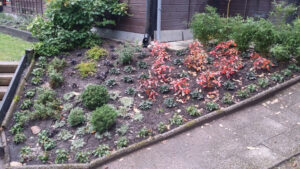 207_05_plantering_slänt_höst_20171009