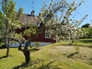 263_000_före_nerifrån