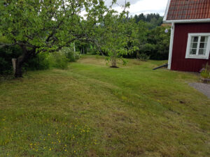 263_000_före_uppifrån