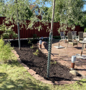 263_2025-06-19-06-24-23-613-2