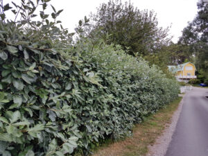 283_002_20210716_113411