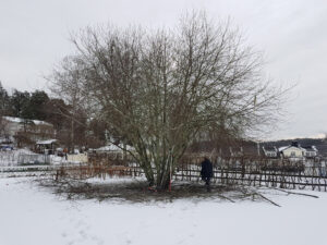 283_004_20220225_101605