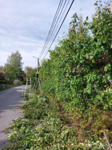 284_01_2024_frukthäck