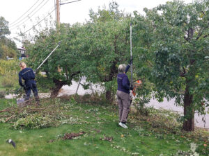 284_04_2024_frukthäck