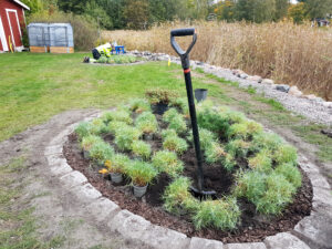 316_oval_06_202109_plant