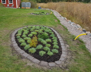 316_oval_07_202109_efter