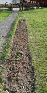 318_003_202105_vårstäd