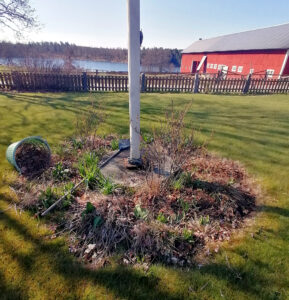 318_004_202105_vårstäd