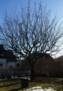 319_01_gallring_före_2018