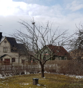 319_02_gallring_efter_2019