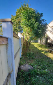 321_001_2024-09-06-18-51-18