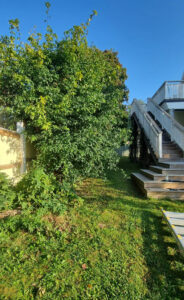 321_002_2024-09-06-18-50-16