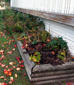 321_004_20241003_074625