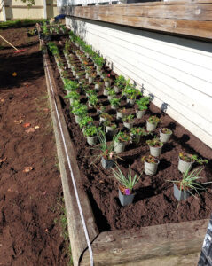 321_007_20241004_110613