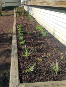 321_2024-10-08-11-20-03-574-1