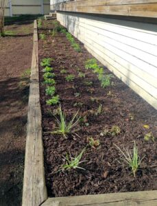 321_2024-10-08-11-20-03-574-1