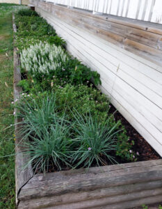 321_2025-06-25_140649