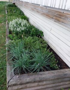 321_2025-06-25_140649