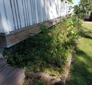 321_3000_20240822_140600