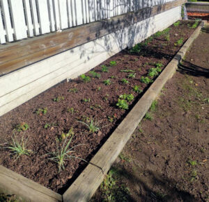 321_3001_2024-10-08-11-20-03-574-2