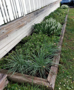 321_3003_20250625_140518