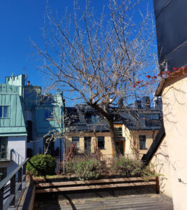 333_002_20240508_163921