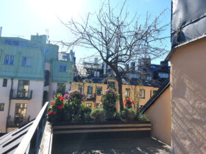 333_005_20240507_155255