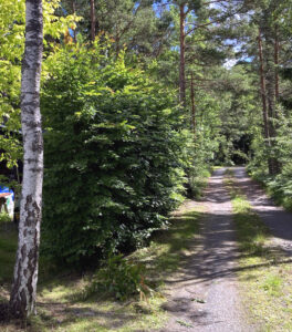 343_2024-07-09-17-39-59-042-4