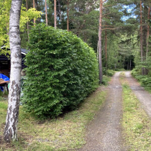 343_2024-07-09-17-43-54-190