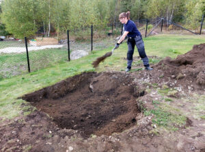 489a_01_202409_plantering_äppel