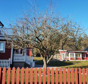 53_01_rosenhagtorn_före