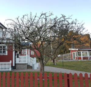 53_02_rosenhagtorn_efter