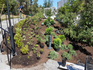 63_005b_201807_plantering