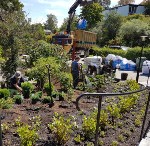 63_006_201807_plantering