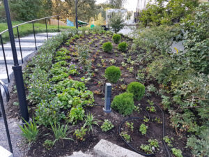 63_009_201808_plantering