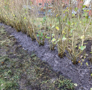 63_19_11-30-47-483-3