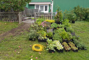 68_015_201809_plantering