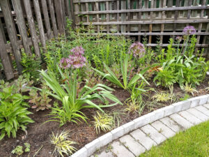 68_020_201906_plantering