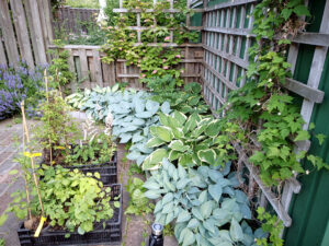 68_022_202206_komplettering