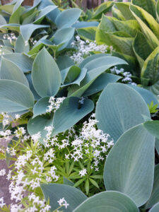 68_40_20230612_085259