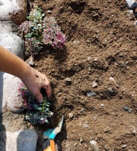 75_06_plantering_2018