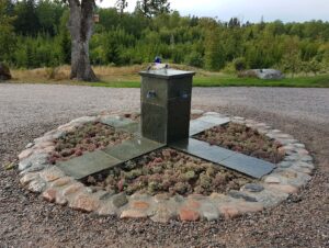 75_08_plantering_2018