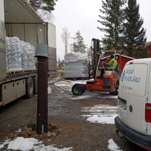 anläggning_plantering__20220407