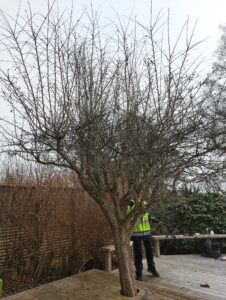 rosenhagtorn_20240327_123831