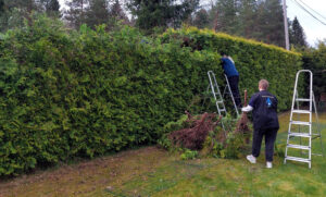 skötsel_sänkning_54_01