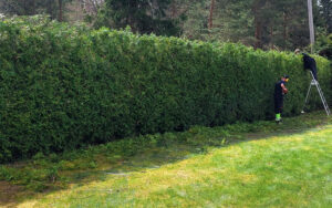 skötsel_sänkning_54_121357