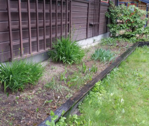 växtval_rab_20170530_114707