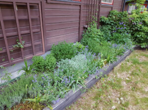 växtval_rab_20190607_191804